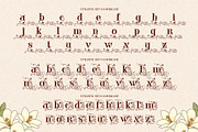 Grand Malon Typeface, a Serif Font by alit design (Thumbnail 13 of 17)