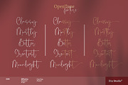 Billastim, a Script Font by din-studio.com (Thumbnail 7 of 10)