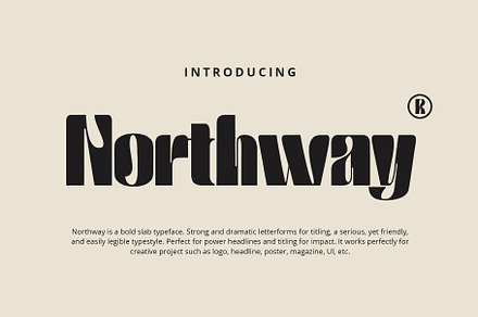 Northway, a Sans Serif Font by Damelev