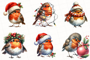 Christmas Robin Birds Clipart, an Illustration by OK Design (Thumbnail 5 of 5)