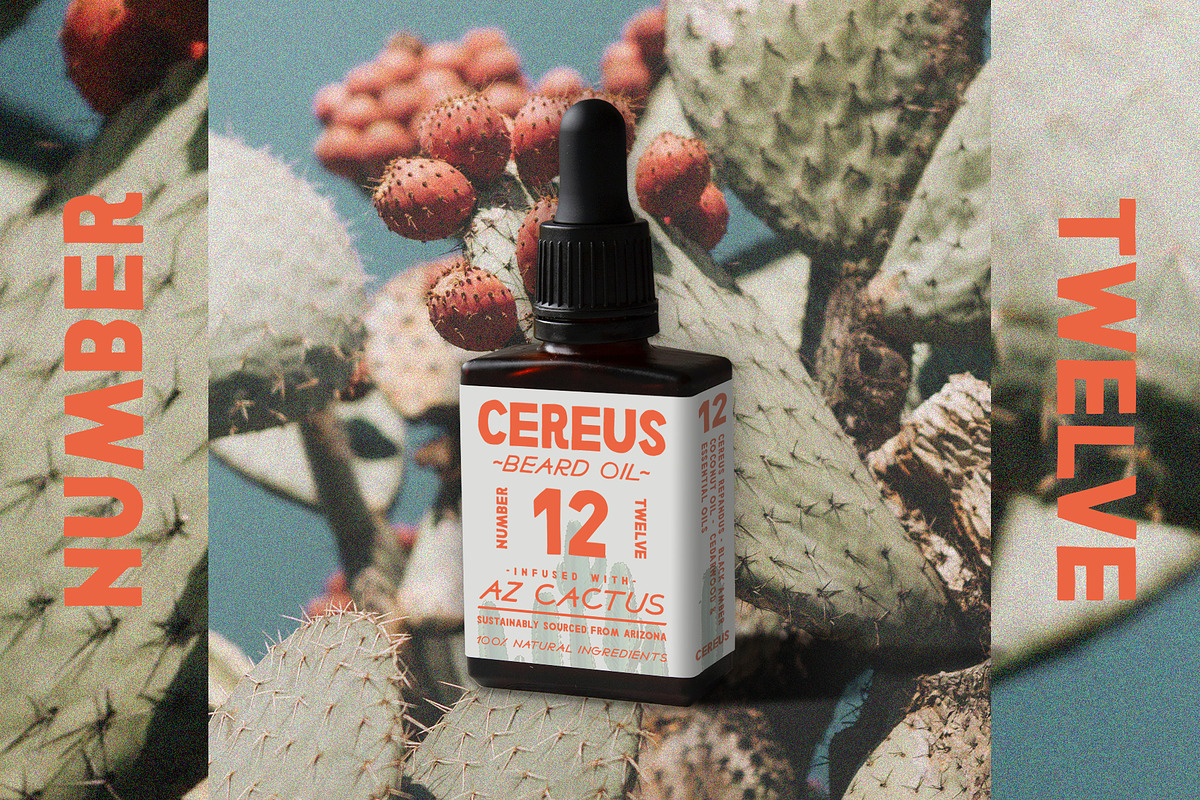 Efficacy Font Pairing + BONUS Logos, a Sans Serif Font by Design Surplus (Photo 3 of 8)