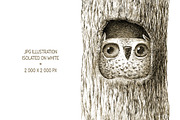 Cute Animals Collection, an Animal Illustration by Mazheika Store (Thumbnail 7 of 9)
