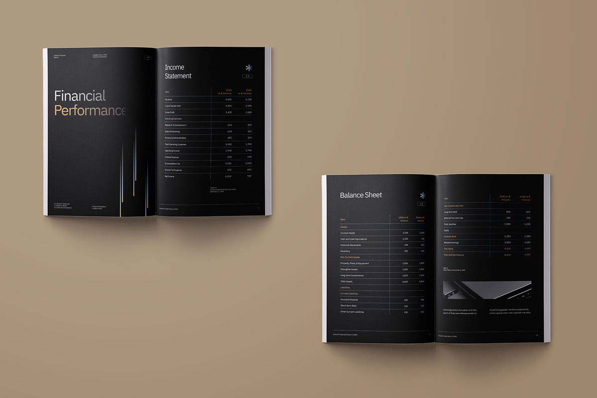 Annual Financial Report - Gradioo preview 2