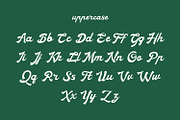 Vegas Vintage Retro Script Font, a Script Font by WhymoreArt (Thumbnail 8 of 12)