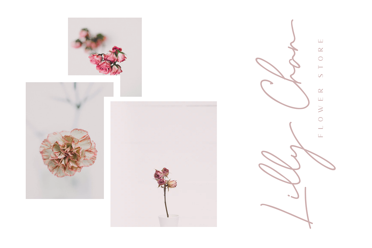 Ralline - Modern Script Font preview 2