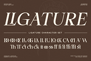 Qaffiso – Luxury & Elegant Modern, a Serif Font by roomspace creative lab (Thumbnail 10 of 11)