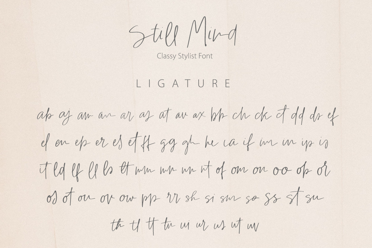 Still Mind | Classy Font, a Script Font by Artstudio (Photo 9 of 9)