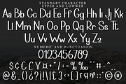 Naughty Christmas, a Script Font by FreshTypeINK (Thumbnail 3 of 8)