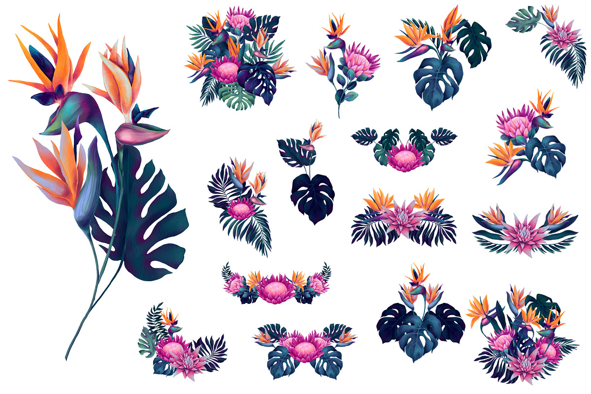 Monstera and Strelitzia watercolor, an Illustration by Salted Galaxy (Photo 5 of 15)