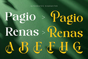 Pagio - Modern Luxury Serif Font, a Serif Font by Muflieart (Thumbnail 3 of 8)