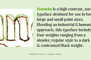 Scootchy, a Sans Serif Font by Typogama (Thumbnail 2 of 13)