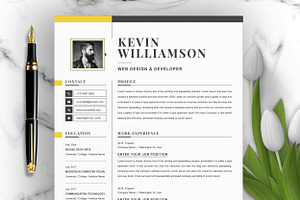 Professional 3 Page Resume Template