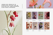 Bloom Atelier | 345 stock images, a Nature Photo by Tale.Haus (Thumbnail 6 of 20)