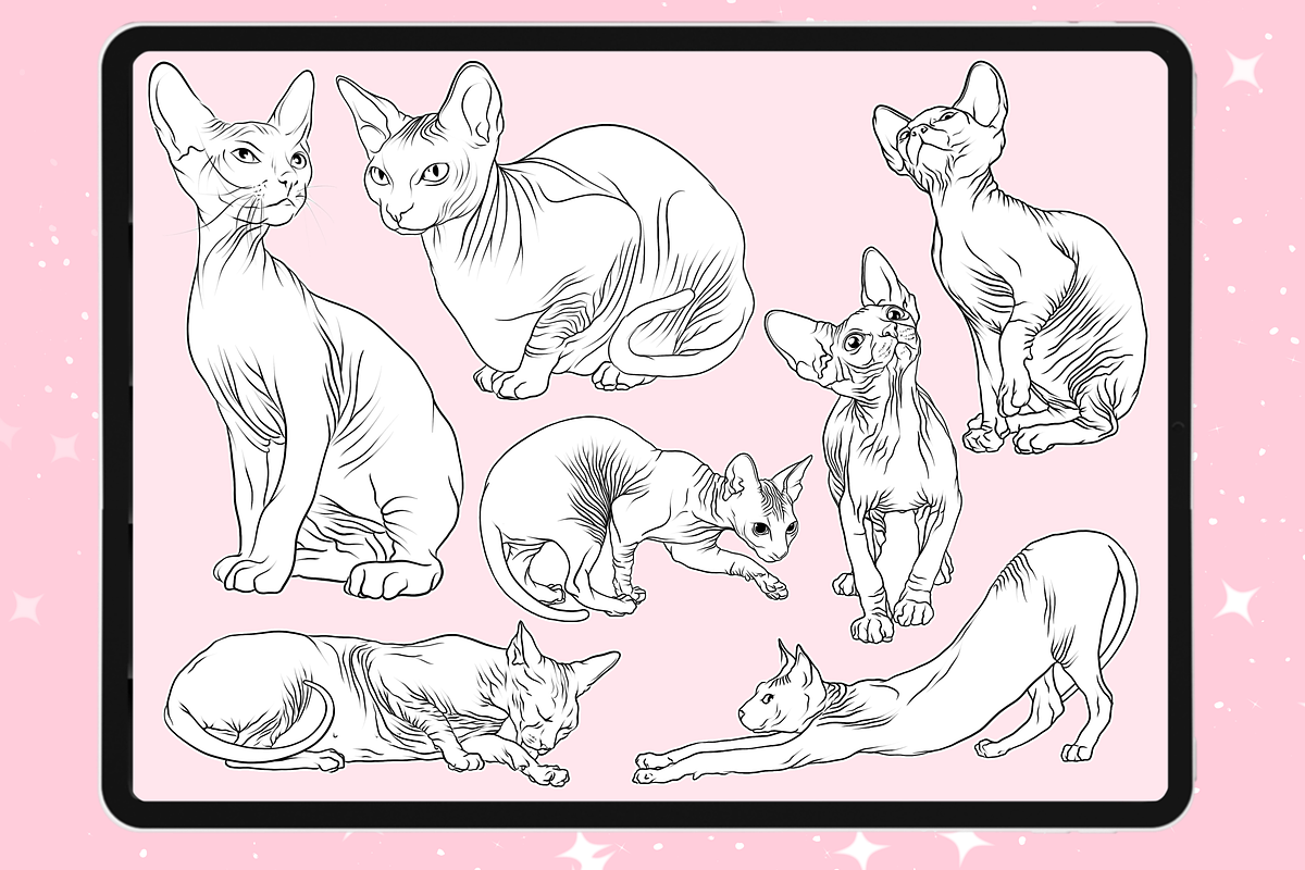 Procreate Cat animal brushes, a Brush Add-On by Revabrush