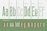 AURATIUM Regular & Slab Typeface, a Slab Serif Font by Alex-Banks Type (Thumbnail 10 of 13)