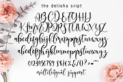 Delisha // Lovely Script Font, a Script Font by Nissa Studio (Thumbnail 13 of 16)