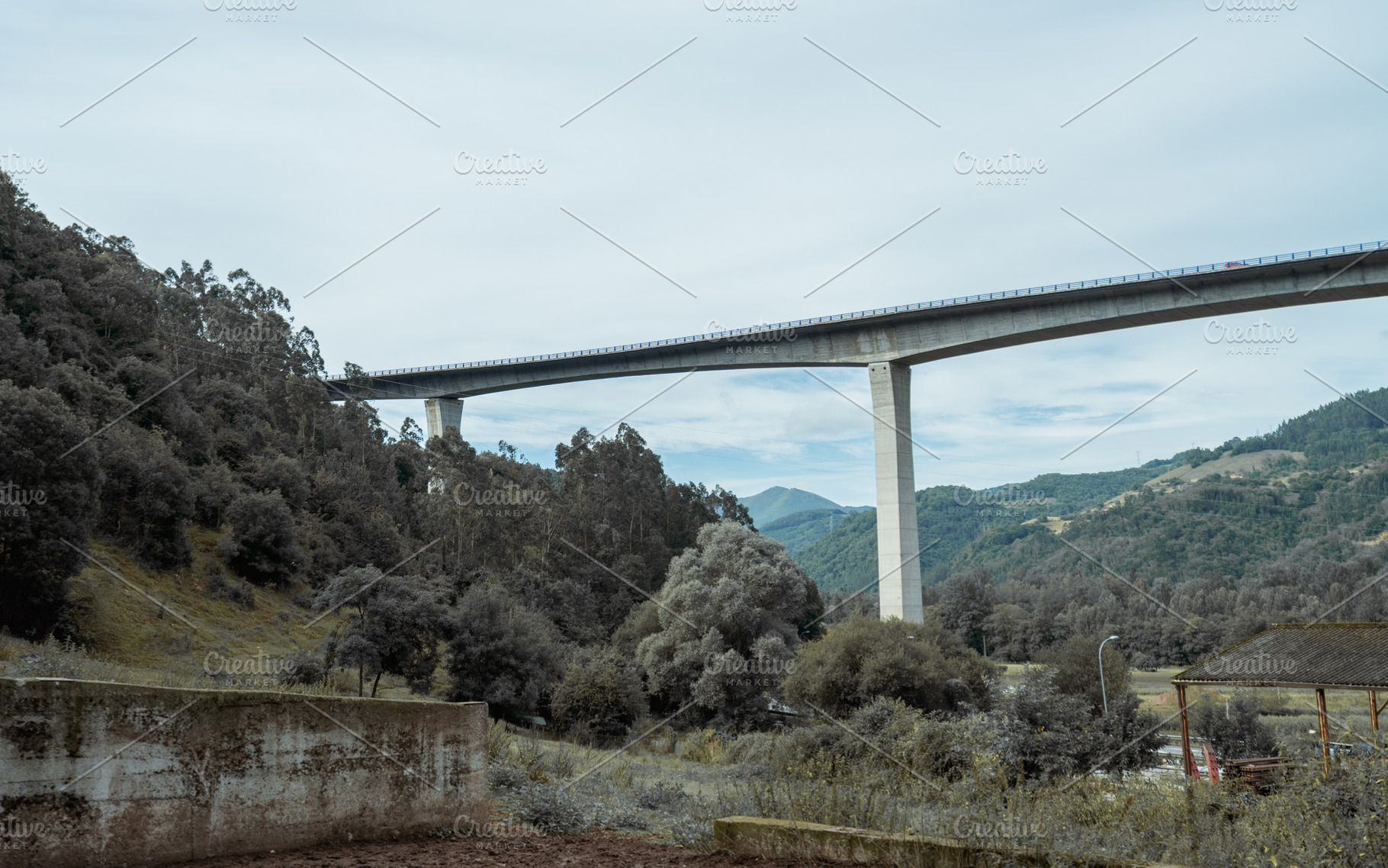 Tall bridge in Asturias valley, an Architecture Photo by SkyNext