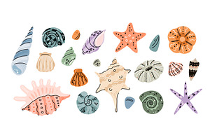 Cartoon Tropical Seashells