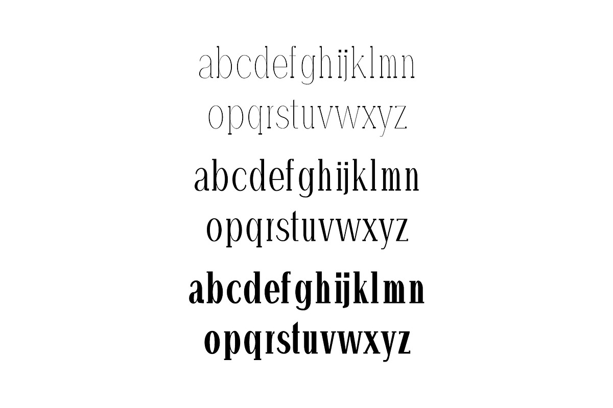 Hommer Minimal Serif Font Family preview 3