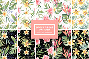 Watercolor Tropical Flowers Set, an Object Graphic by Kotulska (Thumbnail 3 of 4)
