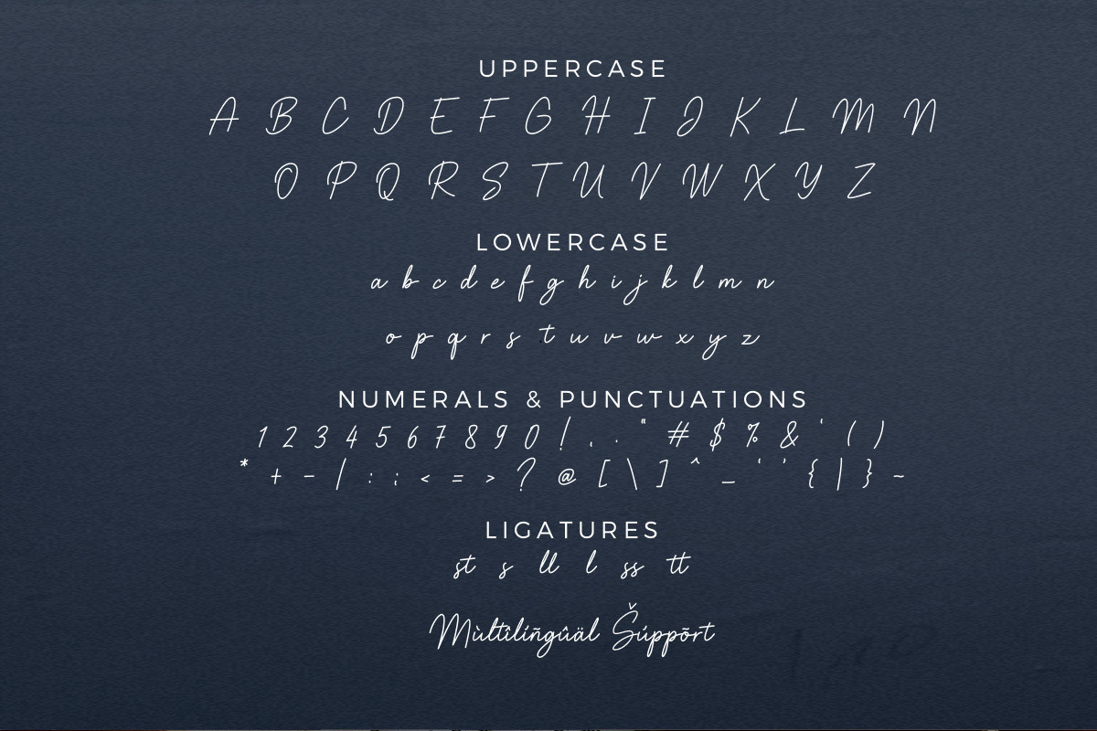 Mashiny Handwritten Business Font, a Script Font by Multype Studio (Photo 7 of 7)