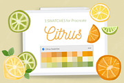 Swatches palette Procreate bundle, a Palette Add-On by Let's Art (Thumbnail 11 of 14)