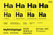 30% OFF! Flatface Briska, a Sans Serif Font by Flatface (Thumbnail 7 of 14)