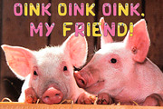 Funny Font, a Symbol Font by Maya Ivart (Thumbnail 6 of 11)