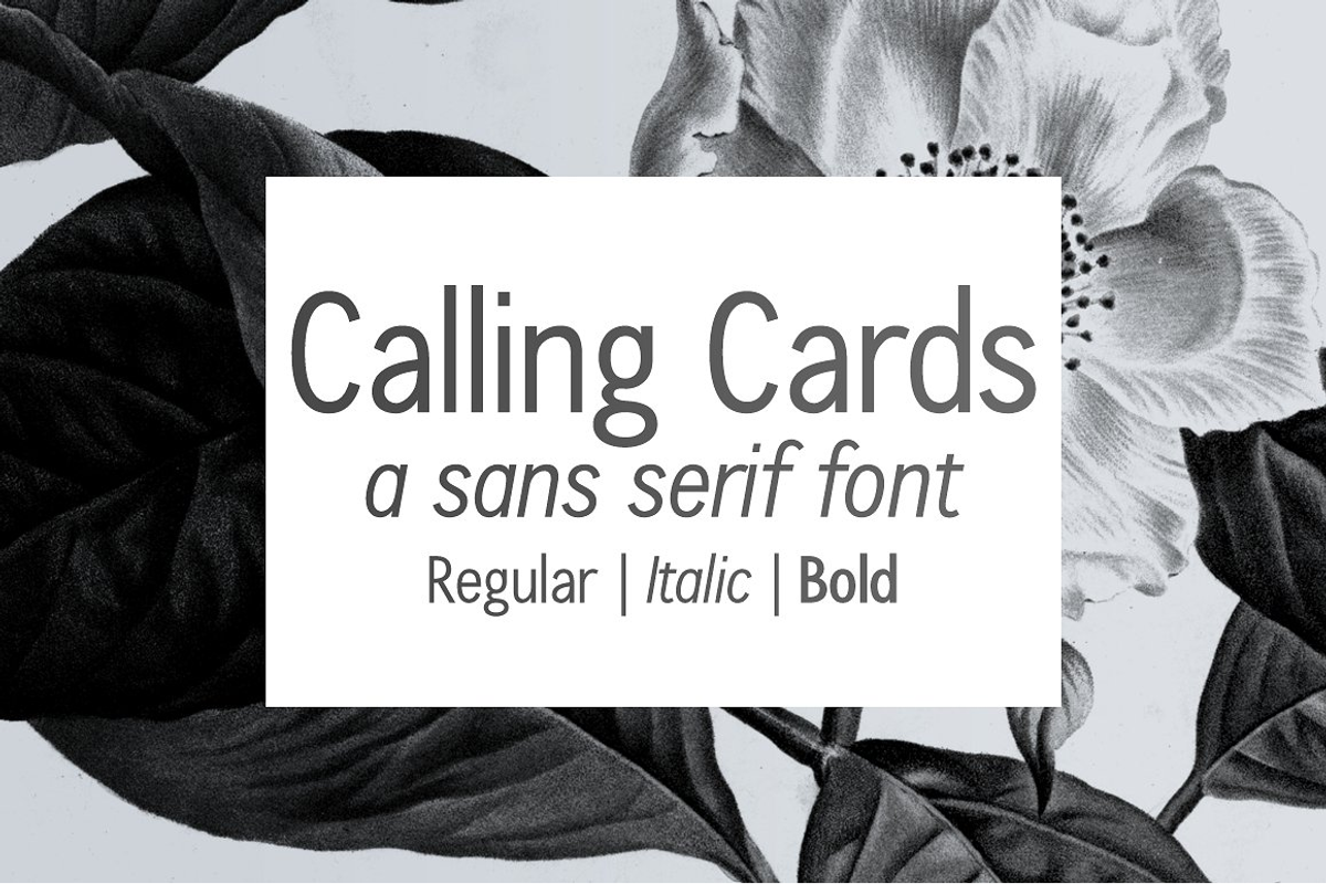 Calling Cards sans serif font, a Sans Serif Font by Ana's Fonts (Photo 1 of 7)
