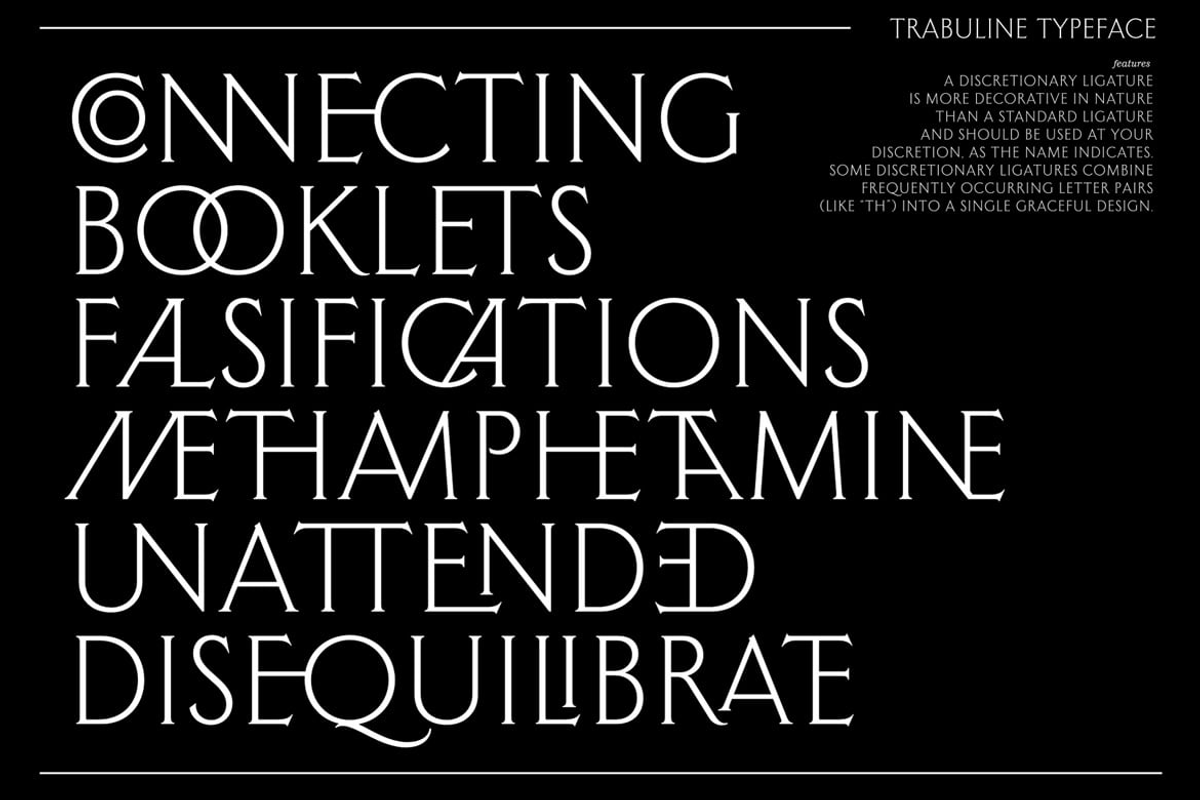 Trbailm - Serif Ligatures Font, a Serif Font by Luna Shop (Photo 4 of 6)