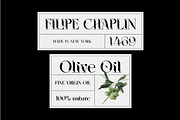 ELGISTA, a Serif Font by Bagerich Type Foundry (Thumbnail 11 of 13)