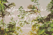 Qikabey - Handwritten Signature, a Handwritten Font by tebaltipislab (Thumbnail 3 of 7)