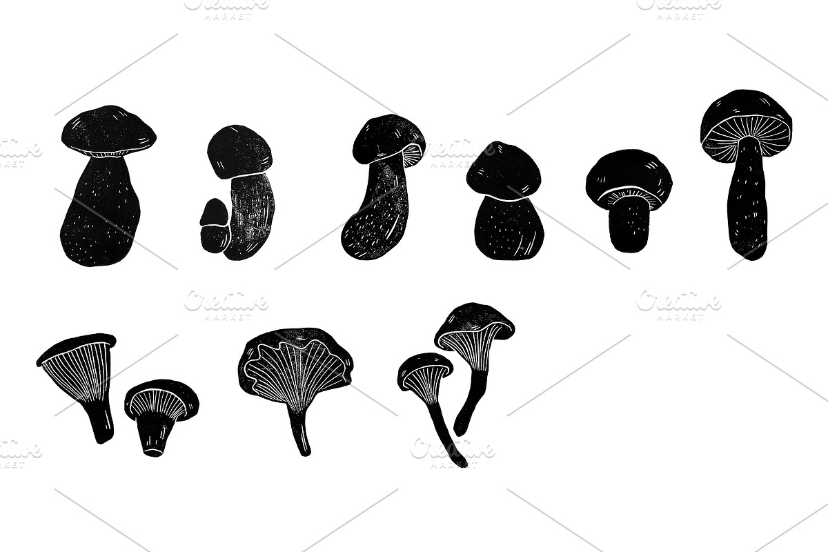 Vegetable garden, an Object Graphic by Mii Lab (Photo 8 of 10)