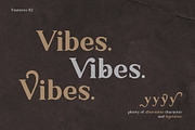 Ambigue Wild Modern x Vintage Serif, a Serif Font by Wandery Supply (Thumbnail 10 of 22)