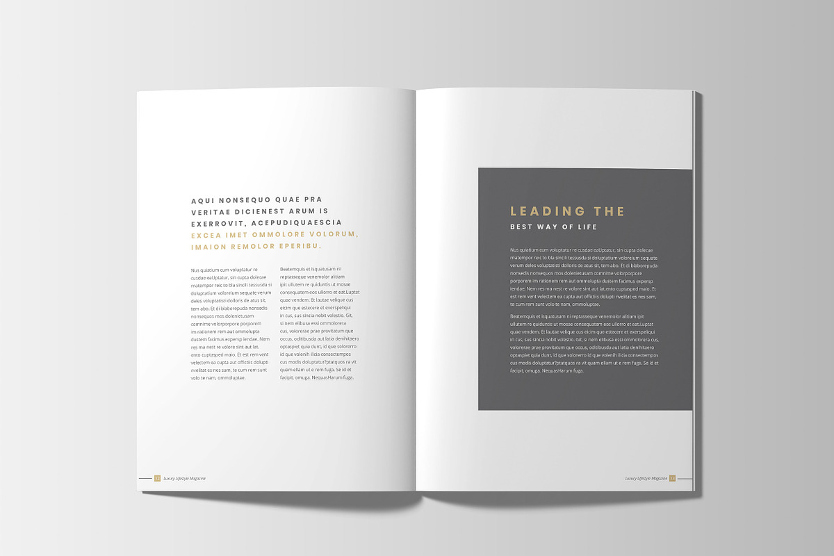 Luxury Lifestyle Magazine/LookBook, a Magazine Template by Layout Design (Photo 8 of 11)