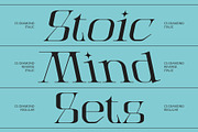 CS Diamond – Serif Font, a Serif Font by Craft Supply Co. (Thumbnail 2 of 8)