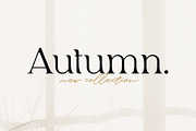 Ochre | A Branding Serif, a Serif Font by Touch and Form (Thumbnail 2 of 6)