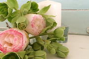 Bundle styled stock - spring flowers, a Business Photo by Pepperbelle Tinkers (Thumbnail 4 of 5)