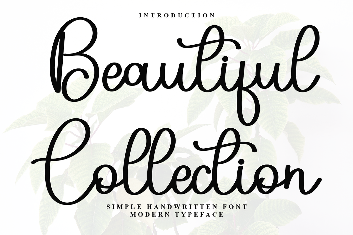 Beautiful Collection, a Handwritten Font by InermediaSTUDIO (Photo 1 of 7)