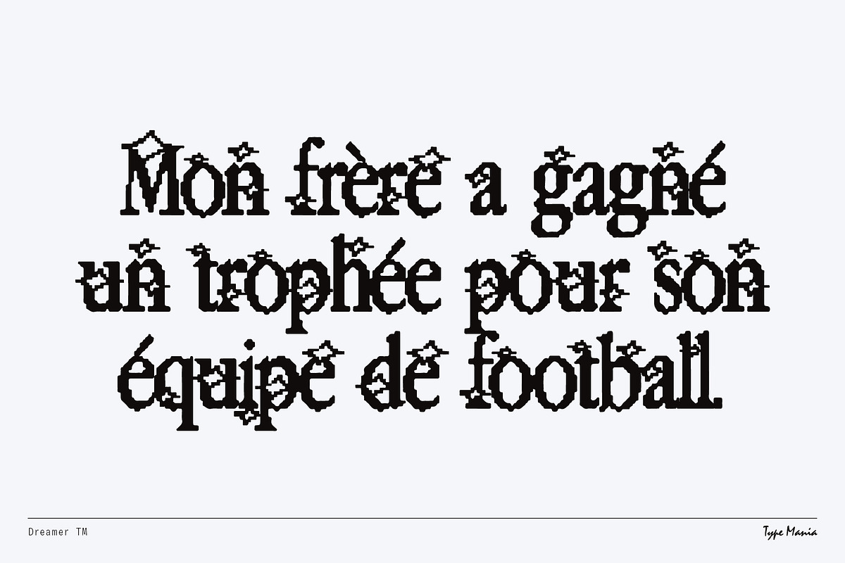 Dreamer TM – Y2K Aesthetics Font, a Serif Font by Type Mania (Photo 8 of 11)