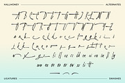 Aloniah - Handwritten Font, a Handwritten Font by Get Studio (Thumbnail 13 of 14)