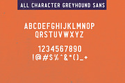 The Greyhound - Font Duo (+BONUS), a Script Font by Rillatype (Thumbnail 12 of 12)