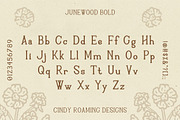 Junewood by Cindy Roaming Designs, a Serif Font by cindyroamingdesigns (Thumbnail 4 of 8)
