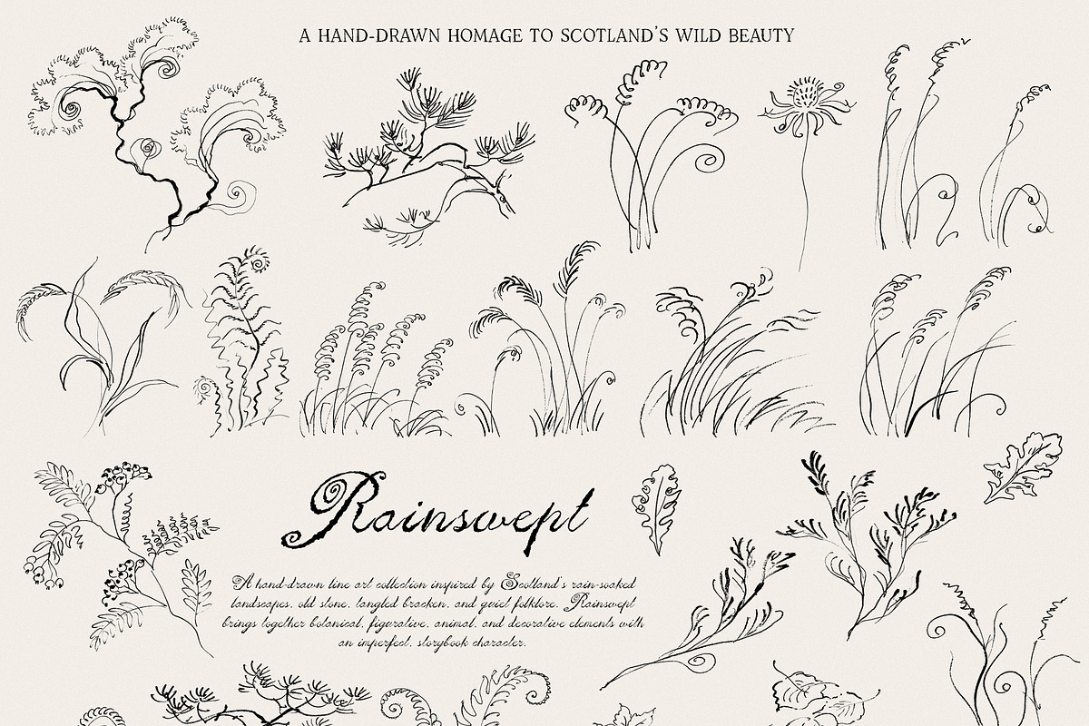 Rainswept Autumn Line Art Collection, an Object Illustration by Purple (Photo 7 of 15)