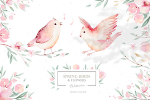 Watercolor Spring Birds & Flowers