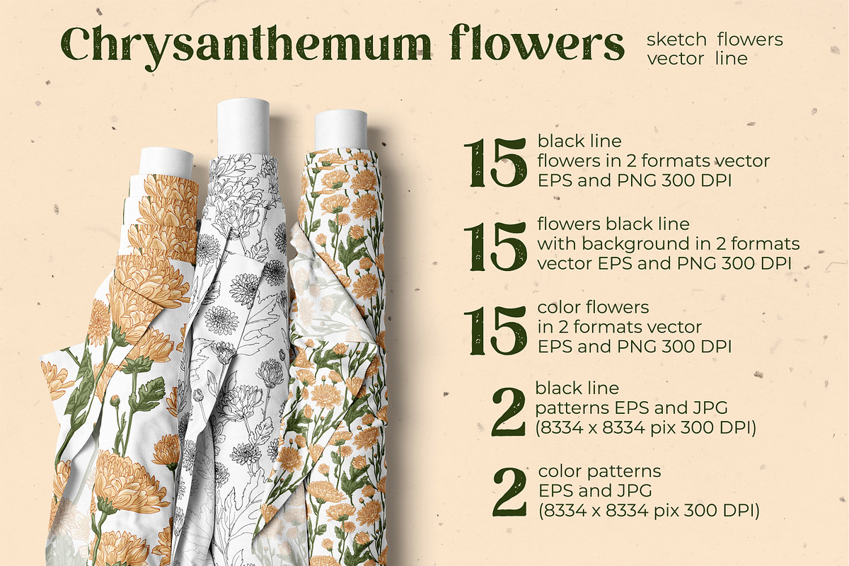 Flowers. Chrysanthemums, an Illustration by irina.vaneeva (Photo 4 of 8)