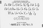 California Story, a Handwritten Font by FreshTypeINK (Thumbnail 4 of 8)