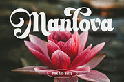 Smile Delight - Bright Display, a Serif Font by ErgibiStudio (Thumbnail 2 of 12)