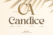 Ragena - Bold Serif Font, a Serif Font by Pixesia Studio (Thumbnail 9 of 10)