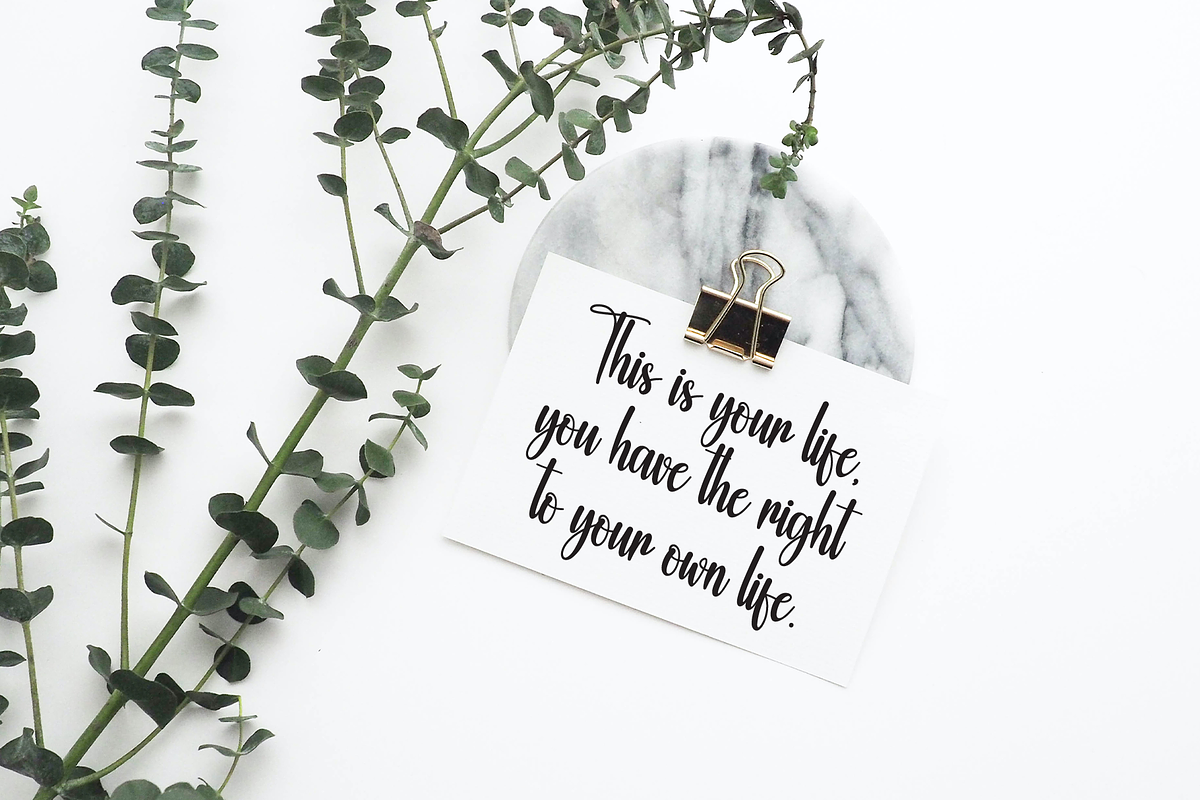 Butterfly | Script Font, a Handwritten Font by Scratchones (Photo 4 of 8)
